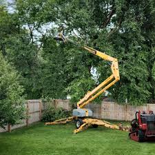 Butler Beach, FL Tree Services Company