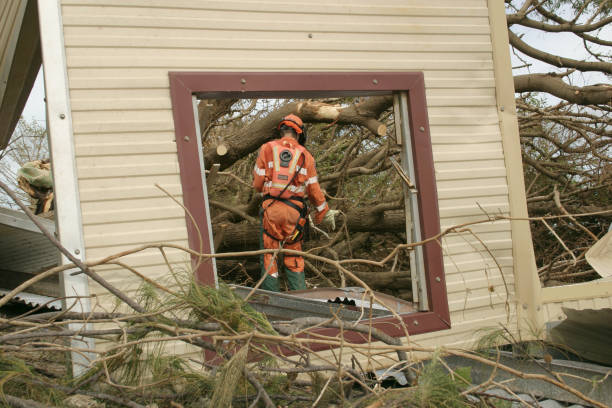 How Our Tree Care Process Works  in  Butler Beach, FL